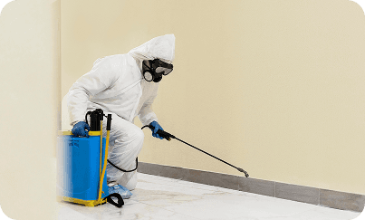Professional applying anti-termite protection