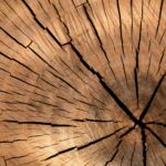 Detailed view of rustic wooden texture, showcasing natural patterns and cracks.